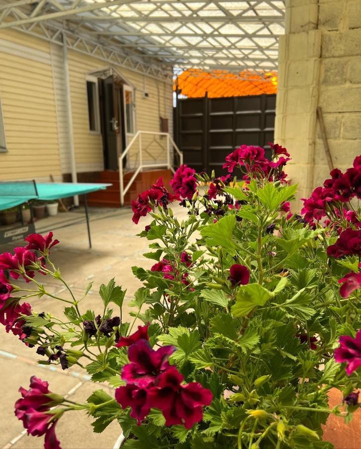 קראקול Hostel My House מראה חיצוני תמונה